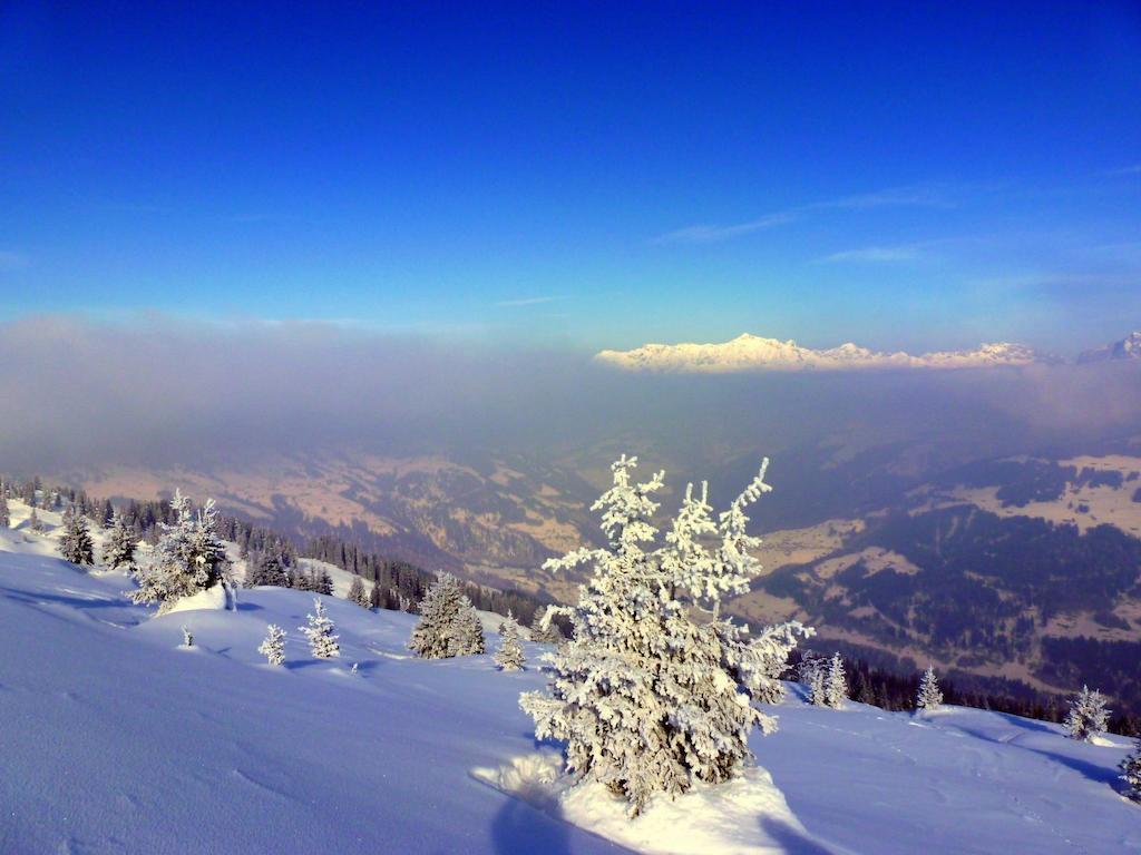 Landgasthof Sommerfeld Pragg-Jenaz Bagian luar foto