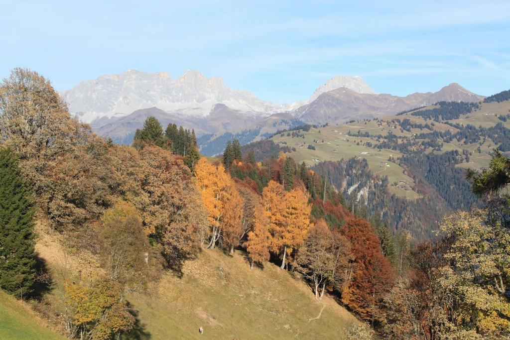 Landgasthof Sommerfeld Pragg-Jenaz Bagian luar foto